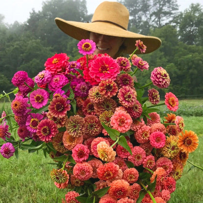 Easy-Grow Zinnia Seeds, Non-GMO Heat Hardy Flower Seeds for Beginners