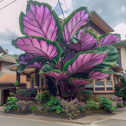 hosta seeds beautiful flower seeds home garden bonsai tree flowers