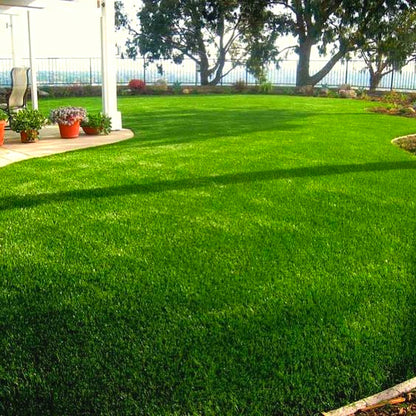 500pcs/bag Ornamental Grass Seed Mix - Drought Tolerant Ground Cover