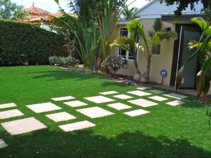500pcs/bag Ornamental Grass Seed Mix - Drought Tolerant Ground Cover