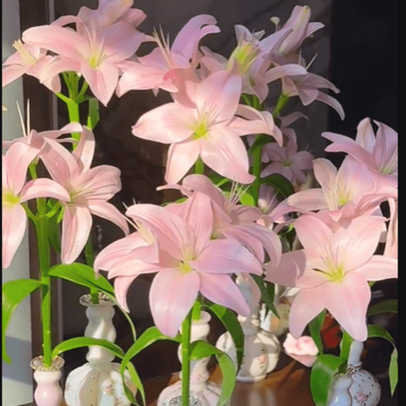 Rare Lily Seeds, High Germination Perennial Flower Seeds for Outdoor Landscaping