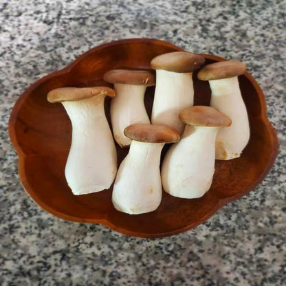 Fresh Mushroom Seeds, Non-GMO Edible Seeds for Indoor Pots & Bags