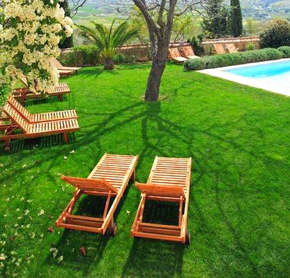 500pcs/bag Ornamental Grass Seed Mix - Drought Tolerant Ground Cover