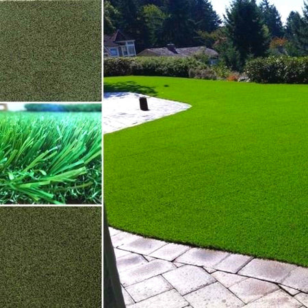 500pcs/bag Ornamental Grass Seed Mix - Drought Tolerant Ground Cover