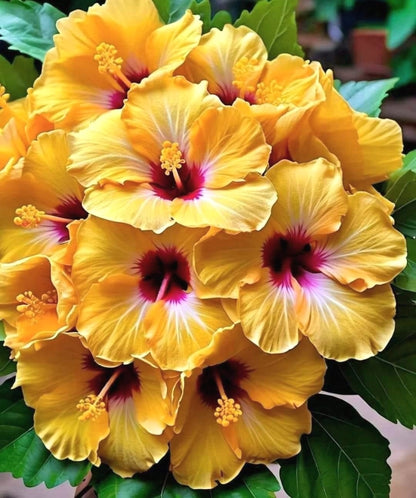 Easy-Grow Hibiscus Seeds, High Germination Seeds for Beginners