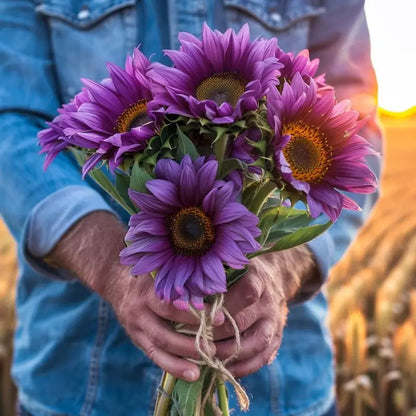 40pcs/bag Sunflower Seeds for Planting - Fast-Growing Garden Favorites