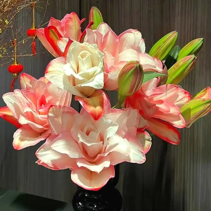 Rare Lily Seeds, High Germination Perennial Flower Seeds for Outdoor Landscaping