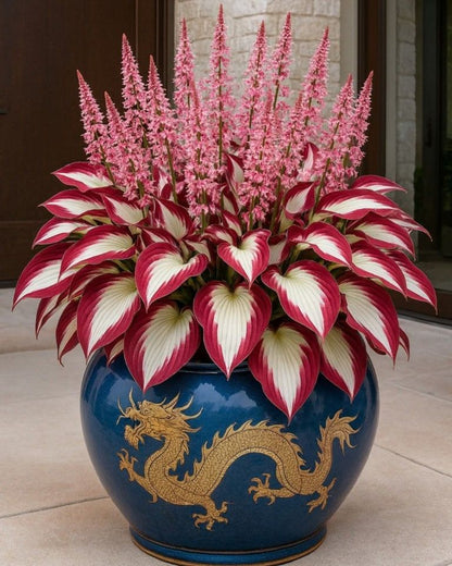 Hosta Seeds | Perennial Shade Plants with Gorgeous Foliage