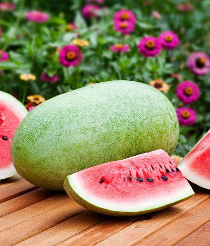 30pcs/bag Watermelon Seeds for Planting Summer Refreshment Fruit Garden Variety