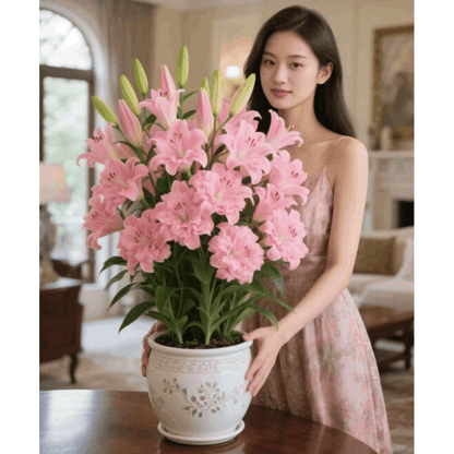 Exotic Lily Seeds, Non-GMO Fragrant Flower Seeds for Indoor & Outdoor