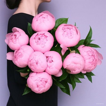 Rare Mixed Peony Seeds, Elegant Luxury Flower for Home Decoration
