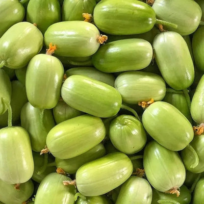 Fresh Cucumber Seeds, Non-GMO Vegetable Seeds for Patio Pots & Greenhouses