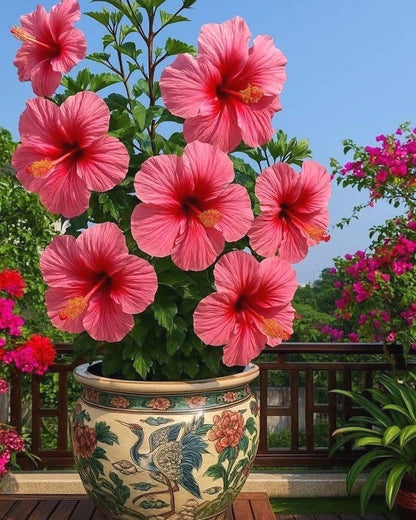 Easy-Grow Hibiscus Seeds, High Germination Seeds for Beginners