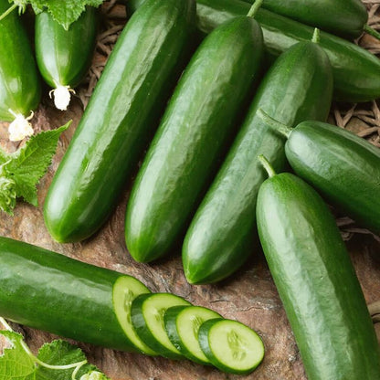 Home Garden Cucumber Seeds, Crisp Fresh Fruits for Daily Eating & Cooking