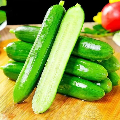 Cucumber Seeds, Non-GMO High Yield Seeds for Home Garden & Vegetable Plots