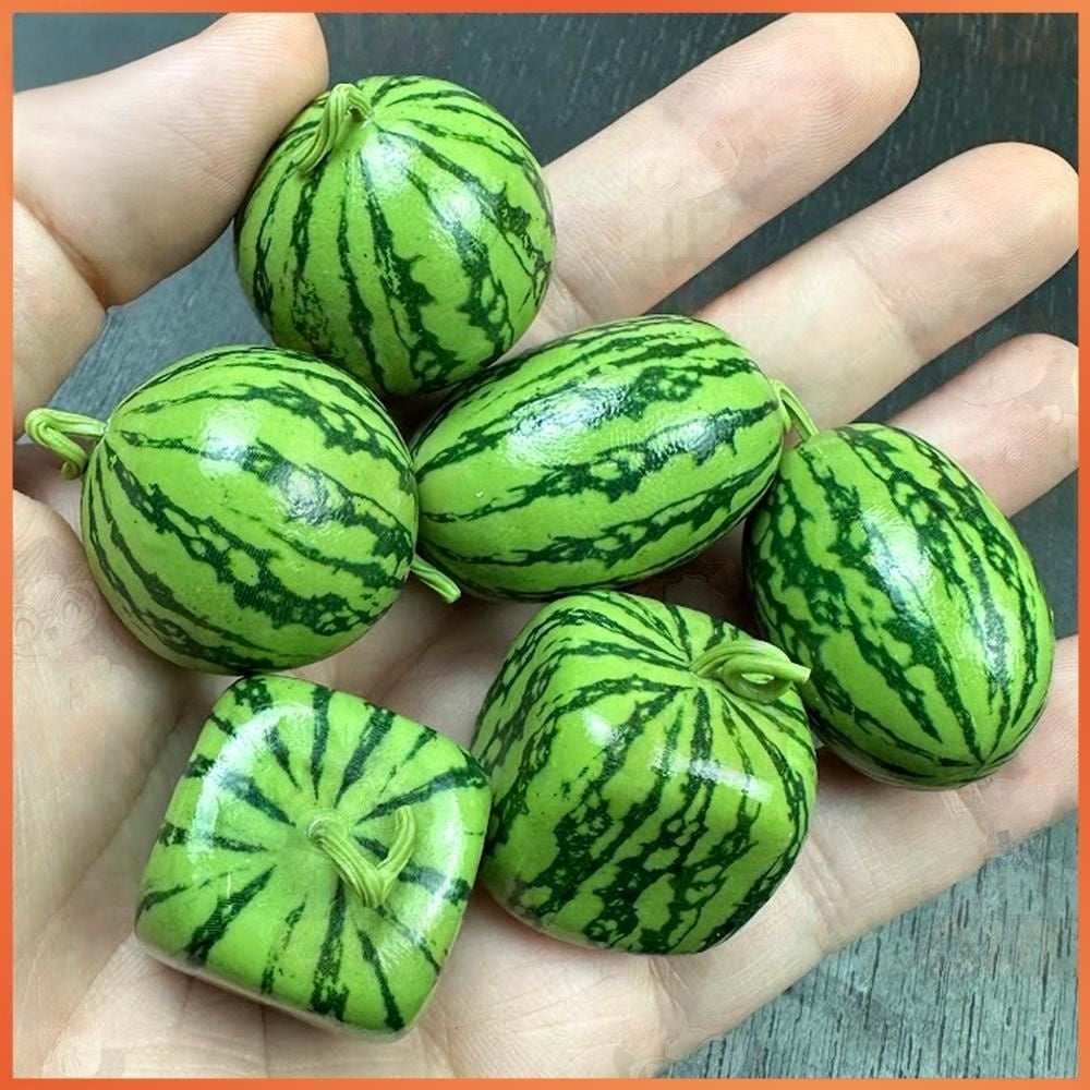 Rare Mini Watermelon Seeds, Non-GMO Tiny Sweet Fruits for Melon Fields & Small Home Gardens