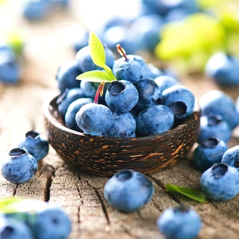 Easy-Grow Blueberry Seeds, Sweet Juicy Fruits for Beginners