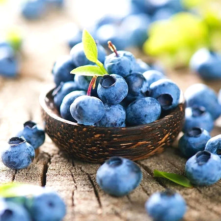 Easy-Grow Blueberry Seeds, Sweet Juicy Fruits for Beginners