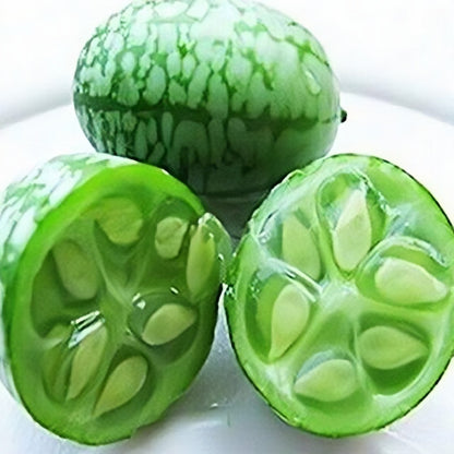 Rare Mini Watermelon Seeds, Non-GMO Tiny Sweet Fruits for Melon Fields & Small Home Gardens