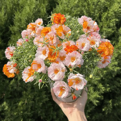 Easy-Grow Sunflower Seeds, Bright Blooms for Yard Decor